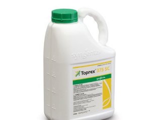 Toprex 375 SC, 5l