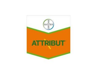 Attribut 70