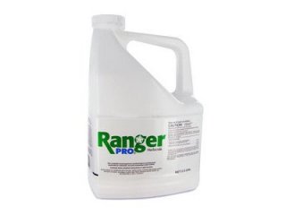 Reindžers XL, 20l