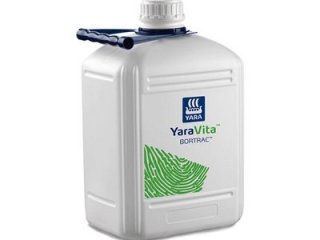 Bortrac Yara Vita