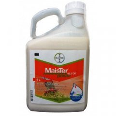 Maister Power OD