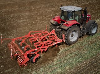 Maschio Terremoto