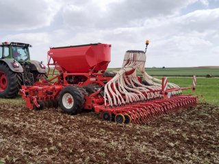 Maschio Gaspardo Corona