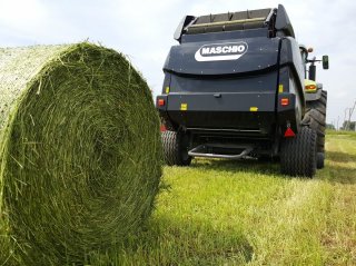 Maschio Gaspardo Extreme 365