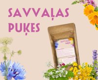 savvaļas puķes