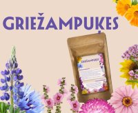 griežampuķes